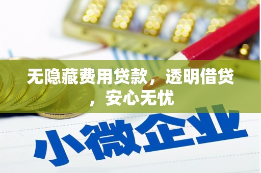贵南无隐藏费用贷款，透明借贷，安心无忧