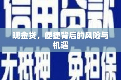 贵南现金贷，便捷背后的风险与机遇