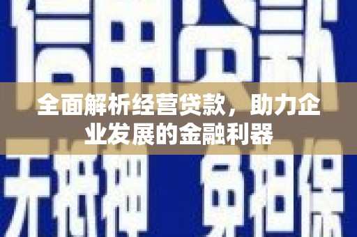 贵南全面解析经营贷款，助力企业发展的金融利器