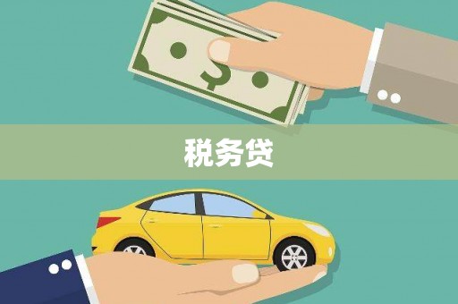 贵南税务贷