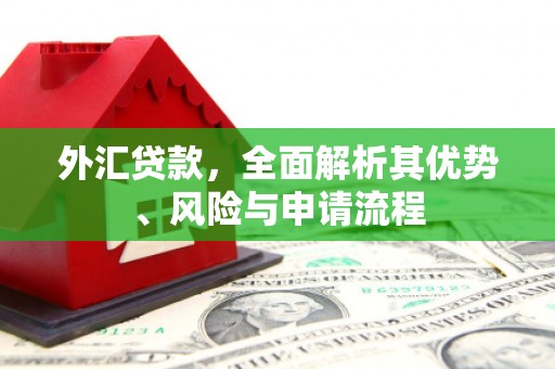 贵南外汇贷款，全面解析其优势、风险与申请流程