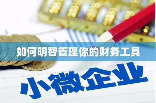 贵南如何明智管理你的财务工具