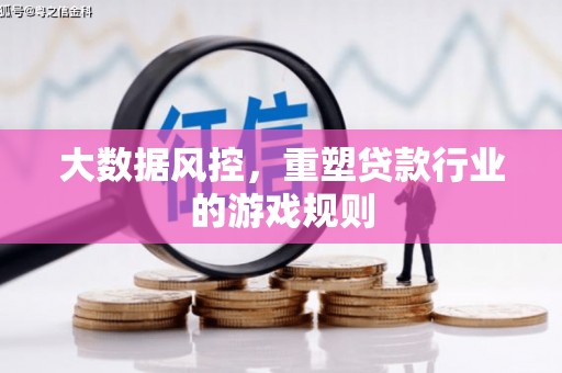贵南大数据风控，重塑贷款行业的游戏规则
