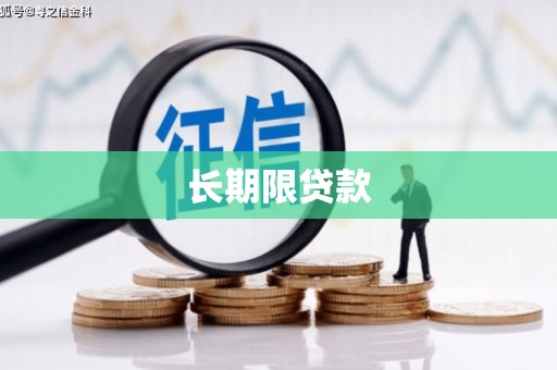 贵南长期限贷款