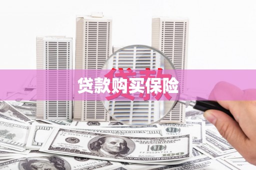 贵南贷款购买保险