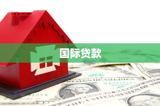 贵南国际贷款