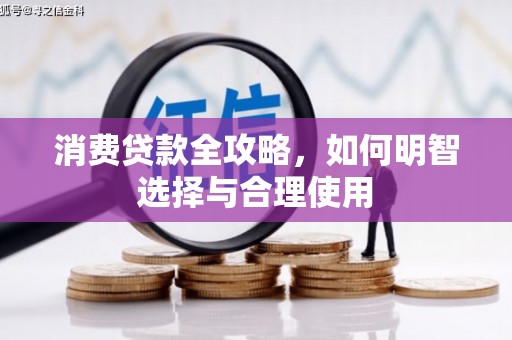 贵南消费贷款全攻略，如何明智选择与合理使用