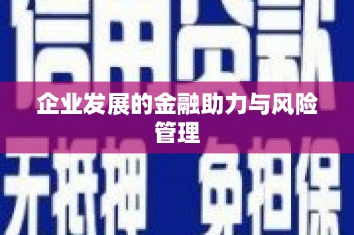 贵南企业发展的金融助力与风险管理