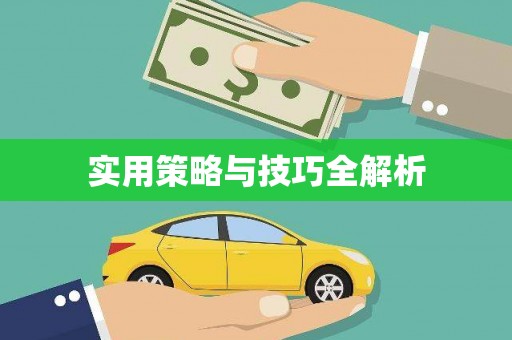 贵南实用策略与技巧全解析