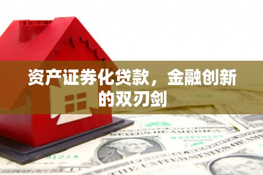 贵南资产证券化贷款，金融创新的双刃剑