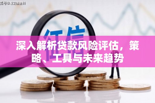 贵南深入解析贷款风险评估，策略、工具与未来趋势