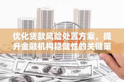 贵南优化贷款风险处置方案，提升金融机构稳健性的关键策略