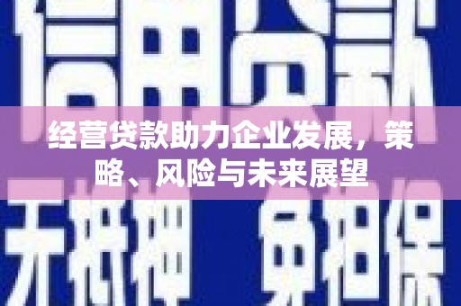 贵南经营贷款助力企业发展，策略、风险与未来展望