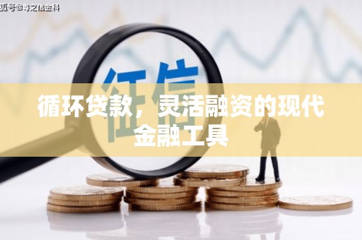 贵南循环贷款，灵活融资的现代金融工具