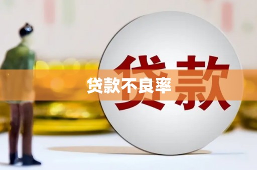贵南贷款不良率