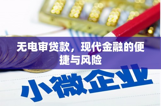 贵南无电审贷款，现代金融的便捷与风险