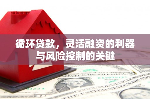 贵南循环贷款，灵活融资的利器与风险控制的关键