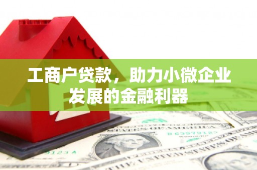贵南工商户贷款，助力小微企业发展的金融利器