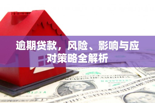 贵南逾期贷款，风险、影响与应对策略全解析