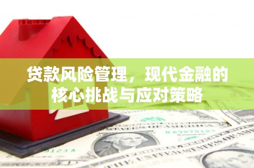 贵南贷款风险管理，现代金融的核心挑战与应对策略