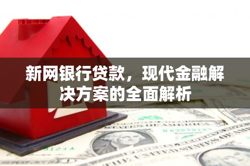 贵南新网银行贷款，现代金融解决方案的全面解析