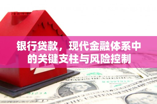 贵南银行贷款，现代金融体系中的关键支柱与风险控制