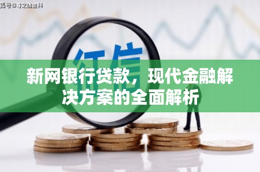 贵南新网银行贷款，现代金融解决方案的全面解析