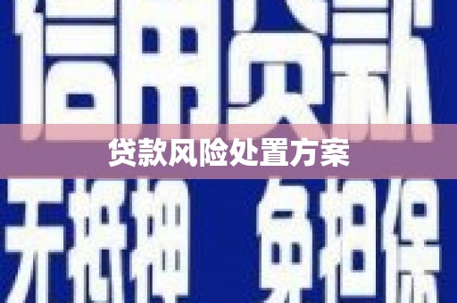 贵南贷款风险处置方案