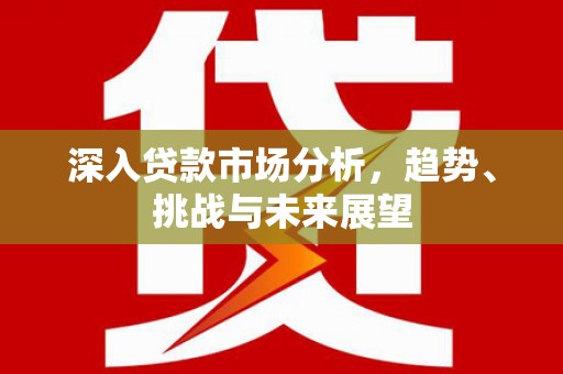 贵南深入贷款市场分析，趋势、挑战与未来展望