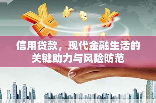 贵南信用贷款，现代金融生活的关键助力与风险防范
