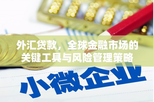 贵南外汇贷款，全球金融市场的关键工具与风险管理策略