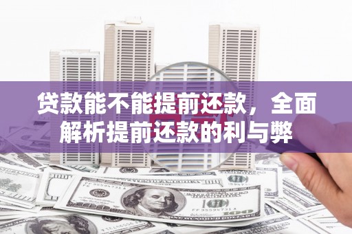 贵南贷款能不能提前还款，全面解析提前还款的利与弊