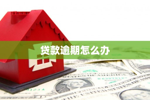 贵南贷款逾期怎么办