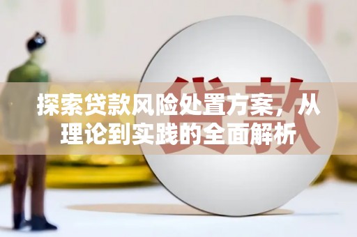 贵南探索贷款风险处置方案，从理论到实践的全面解析