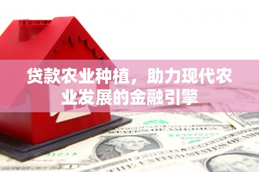 贵南贷款农业种植，助力现代农业发展的金融引擎