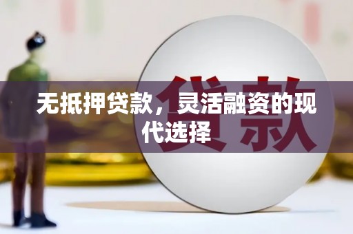 贵南无抵押贷款，灵活融资的现代选择