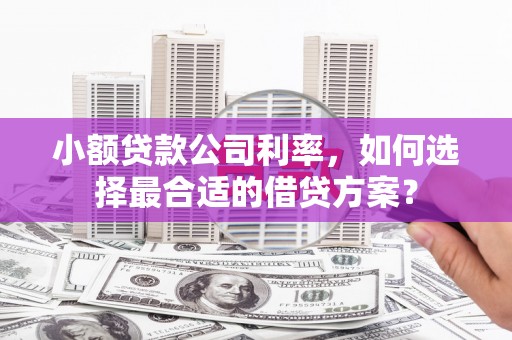 贵南小额贷款公司利率，如何选择最合适的借贷方案？