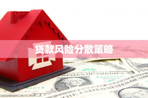贵南贷款风险分散策略