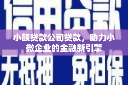 贵南小额贷款公司贷款，助力小微企业的金融新引擎
