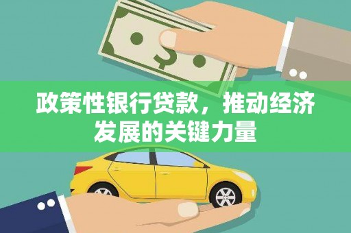 贵南政策性银行贷款，推动经济发展的关键力量