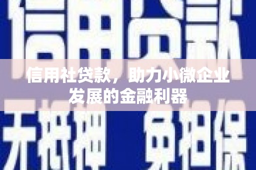 贵南信用社贷款，助力小微企业发展的金融利器
