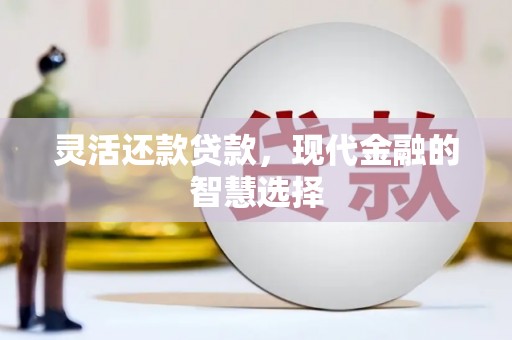 贵南灵活还款贷款，现代金融的智慧选择