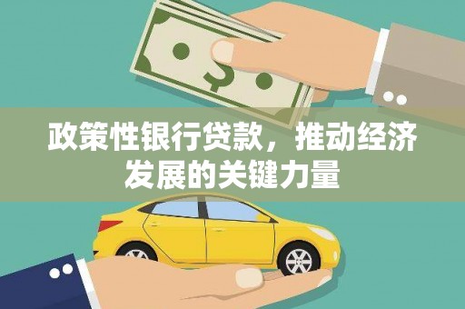 贵南政策性银行贷款，推动经济发展的关键力量