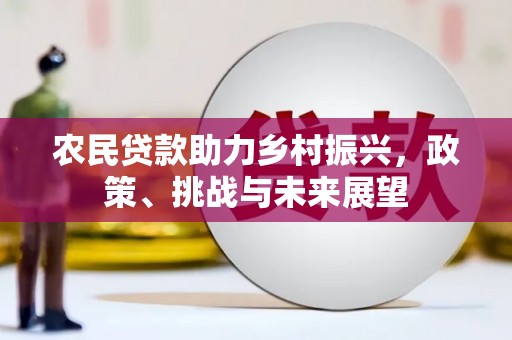 贵南农民贷款助力乡村振兴，政策、挑战与未来展望