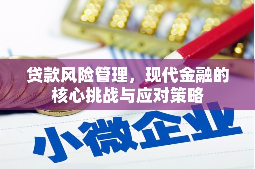 贵南贷款风险管理，现代金融的核心挑战与应对策略