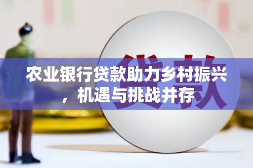 贵南农业银行贷款助力乡村振兴，机遇与挑战并存