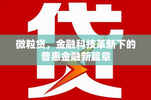 贵南微粒贷，金融科技革新下的普惠金融新篇章