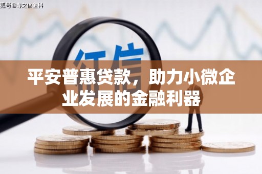 贵南平安普惠贷款，助力小微企业发展的金融利器