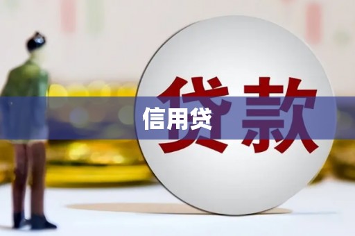 贵南信用贷