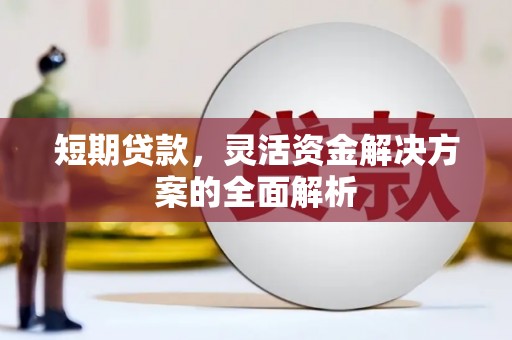 贵南短期贷款，灵活资金解决方案的全面解析